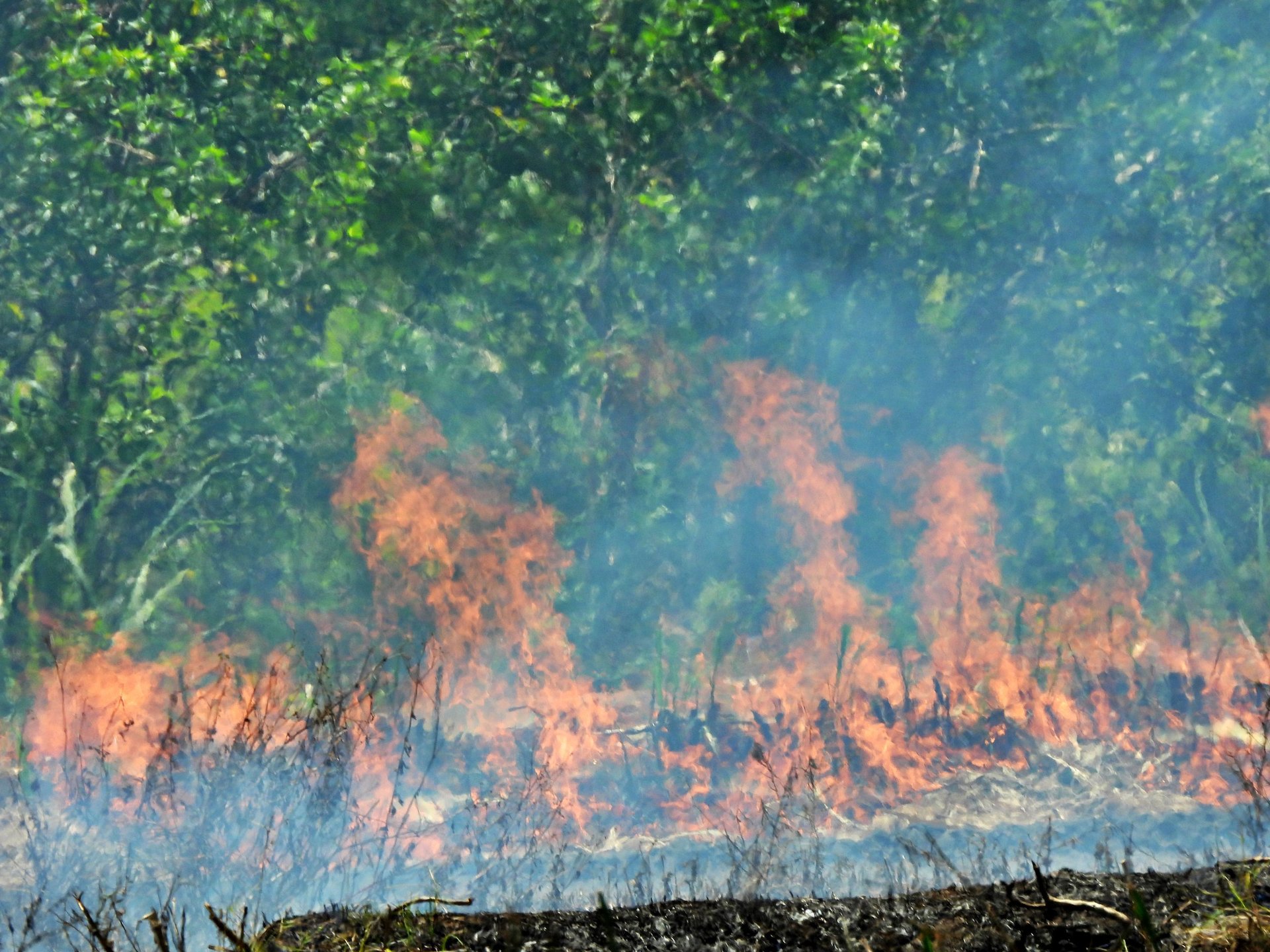 Prescribed burn on farmland